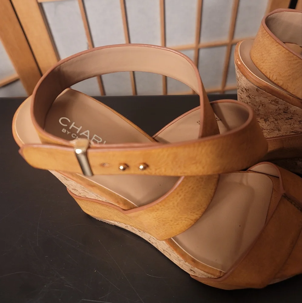 Charles By Charles David Arlington Wedge Sandal - Picture 4 of 15